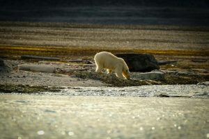 How Climate Change Risks Are Influencing Coastal Property Insurance