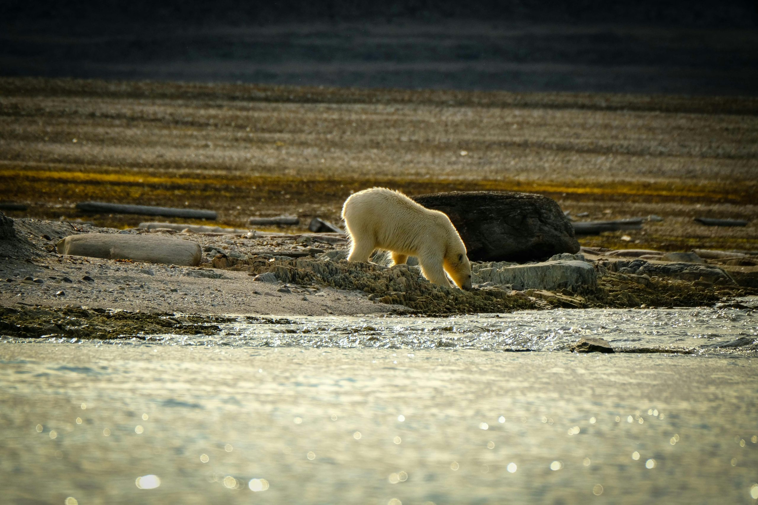 How Climate Change Risks Are Influencing Coastal Property Insurance
