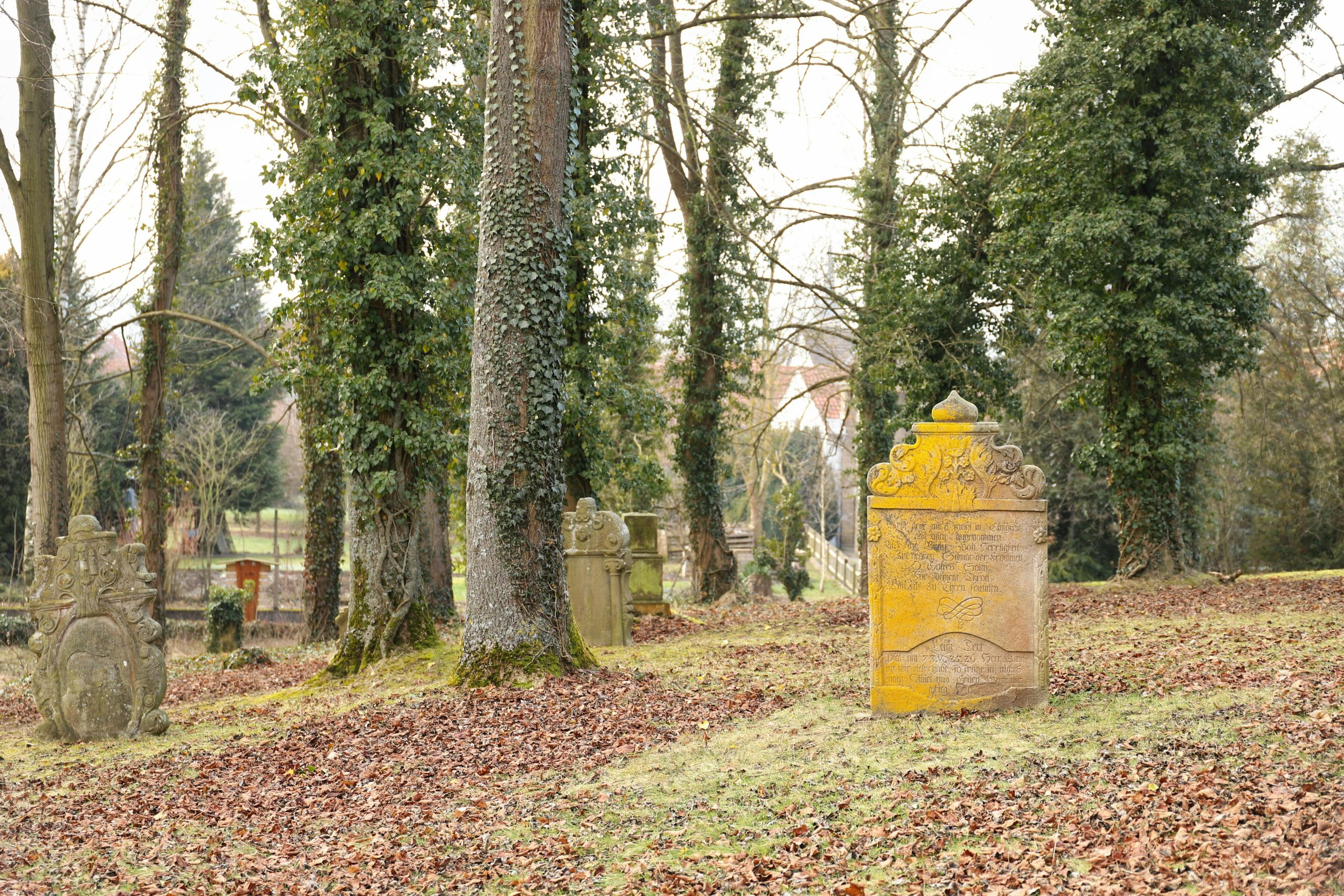 The Significance Of The Power Chord In Rock History