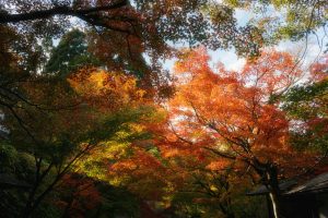 How Artificial Intelligence Is Predicting Next Seasons Color Palettes