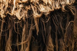 Navigating The Complex World Of Sustainable Fabric Certification Processes