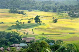Exploring The Growth Of Tiny House Communities Globally Today